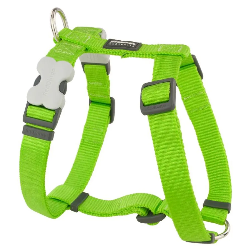 Red Dingo Classic Dog Harness 20mm