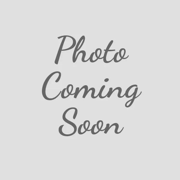 Red Nylon Webbing Dog Harness - 803