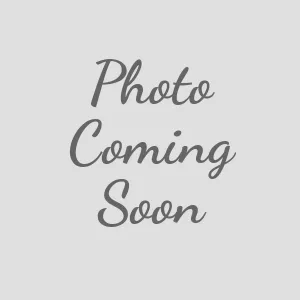 Tan Nylon Webbing Dog Harness - 809