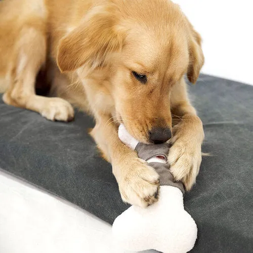 Upcycling Pet Toys