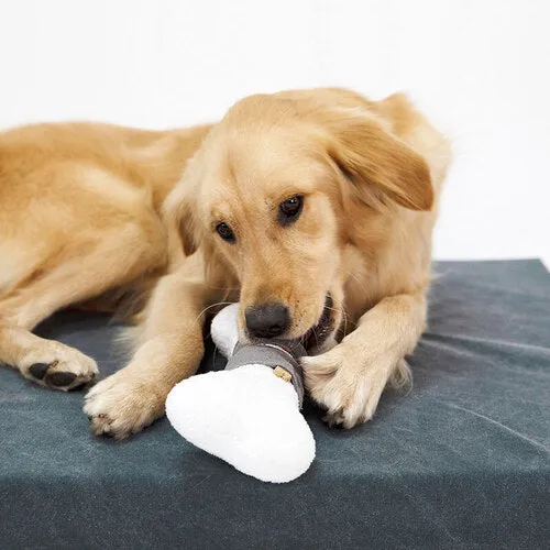 Upcycling Pet Toys