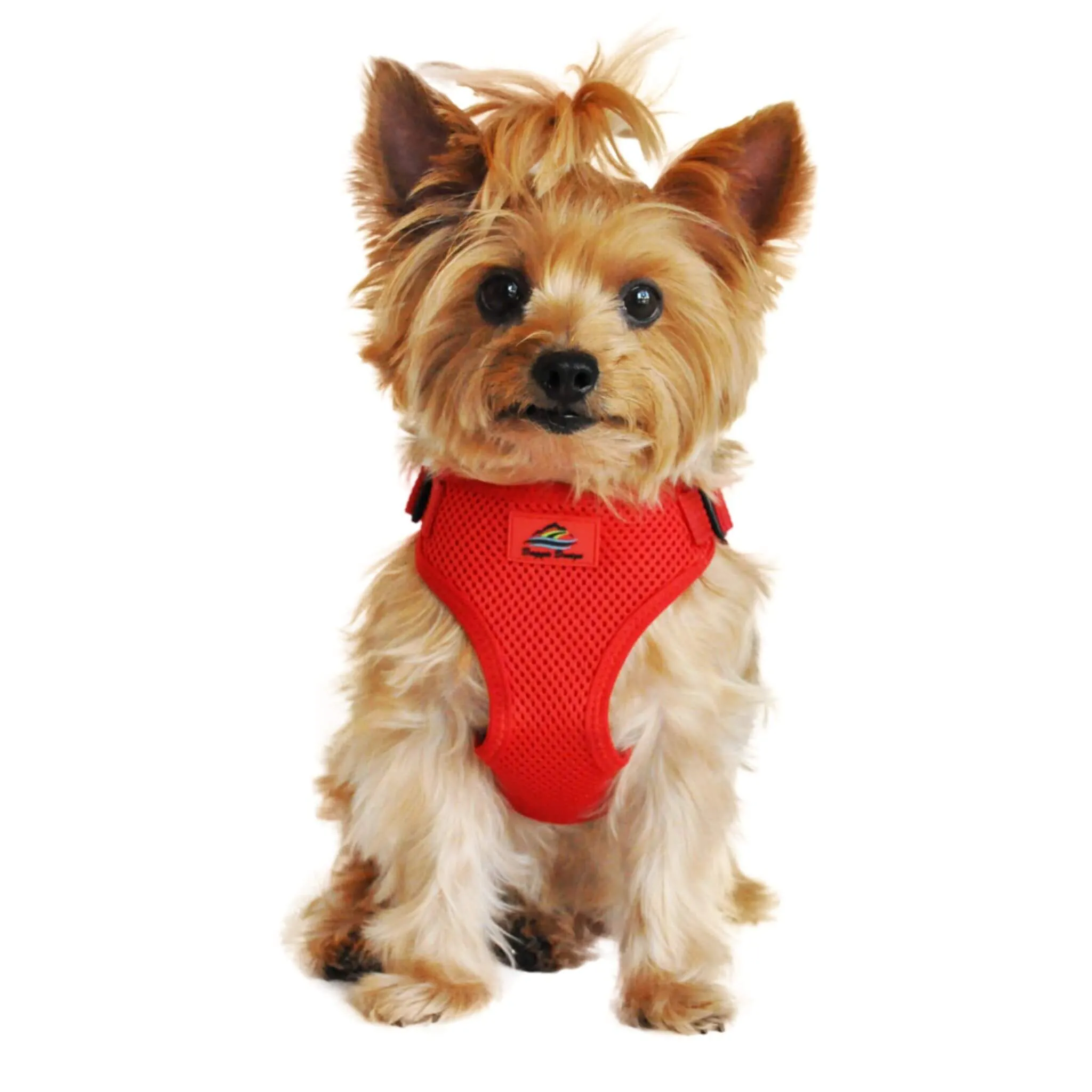 Wrap and Snap Choke Free Dog Harness - Flame Red