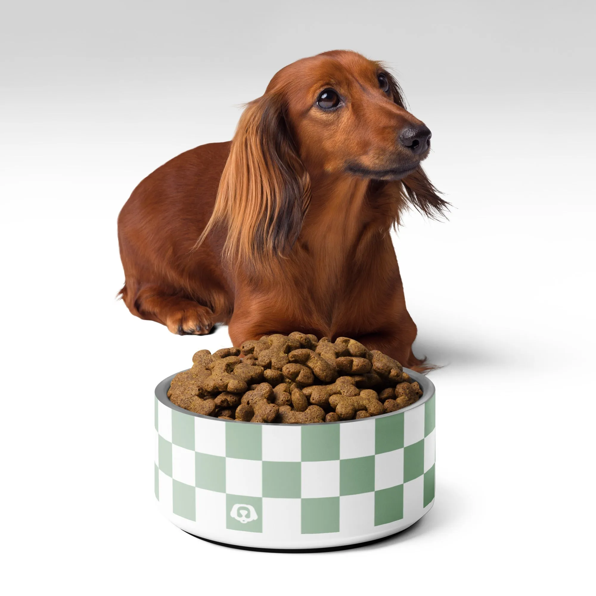 WUFORIA Checker Sage 32oz Dog Bowl